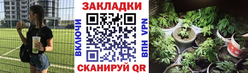 Сколько стоит Нерчинск Бошки Шишки  Альфа ПВП  Галлюциногенные грибы  Мефедрон  АМФЕТАМИН 