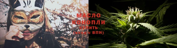 индика Бородино