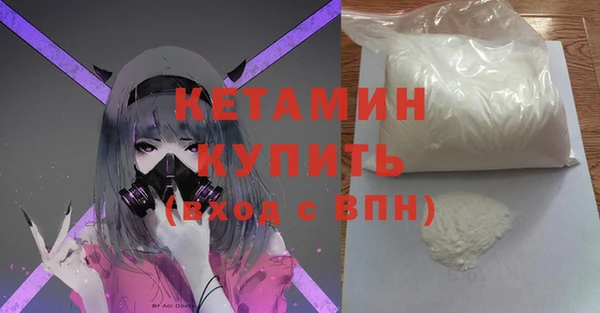 индика Бородино