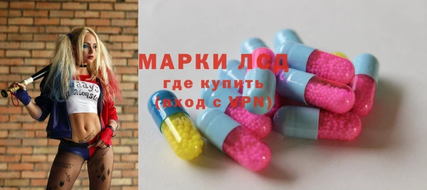 сатива Бронницы
