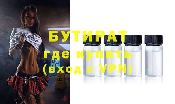 индика Бородино