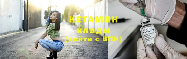 индика Бородино