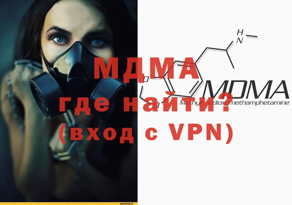 индика Бородино
