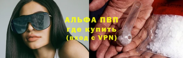apvp Богданович