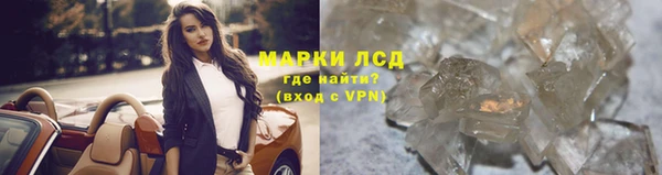 сатива Бронницы