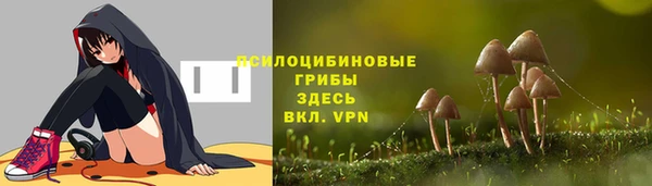 сатива Бронницы