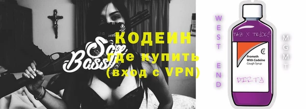 индика Бородино