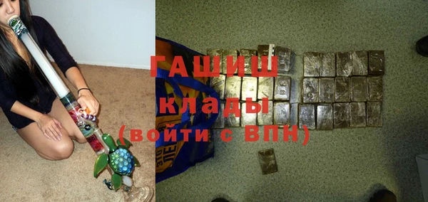 индика Бородино