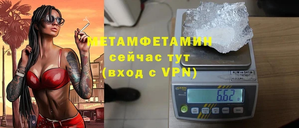 индика Бородино