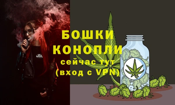 сатива Бронницы
