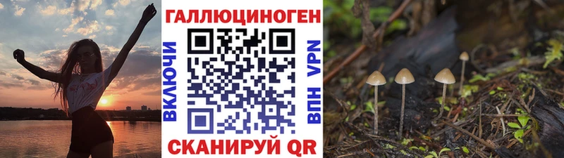 мориарти состав Нерчинск Псилоцибиновые грибы Cubensis